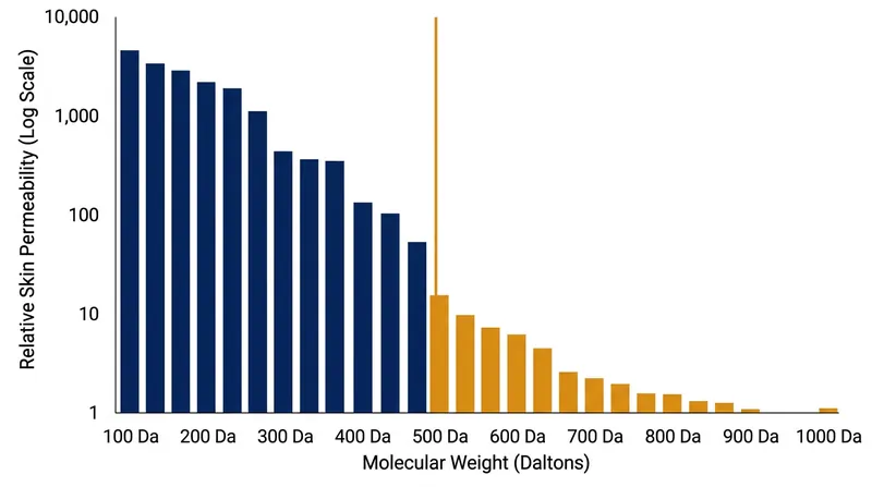 Permeability drops exponentially as molecular weight increases, effectively blocking large proteins from passive diffusion.