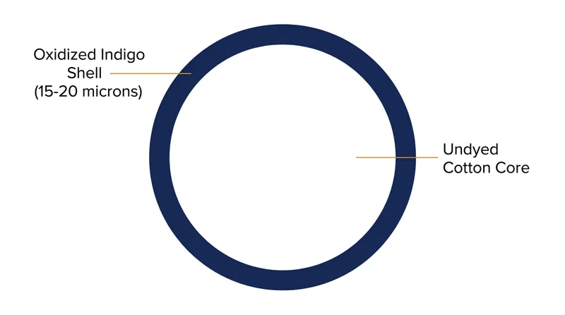 Indigo dye only penetrates the outermost 15 to 20 microns of the cotton yarn during the rope-dyeing process.
