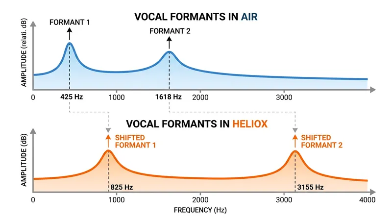 When a vocal tract is filled with helium, its resonant frequencies scale upward, amplifying higher overtones.