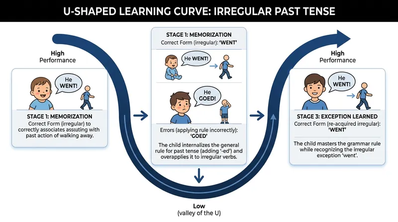 Children naturally overregularize verbs by applying the '-ed' rule before learning the exceptions.