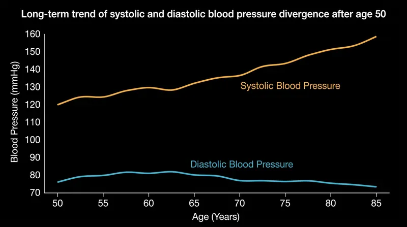 As the aorta stiffens, systolic pressure climbs while diastolic pressure falls, creating a widened pulse pressure.