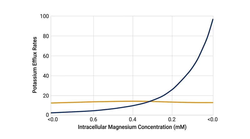 Potassium wasting accelerates dramatically once intracellular magnesium falls below the 0.2 millimolar threshold.