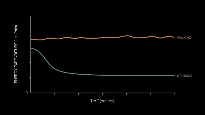 Energy expenditure spikes during the transition from sitting to standing, but quickly plateaus as postural muscles lock into place.