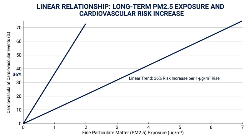 Cardiovascular risk rises linearly with PM2.5 exposure, with no apparent safe lower threshold.