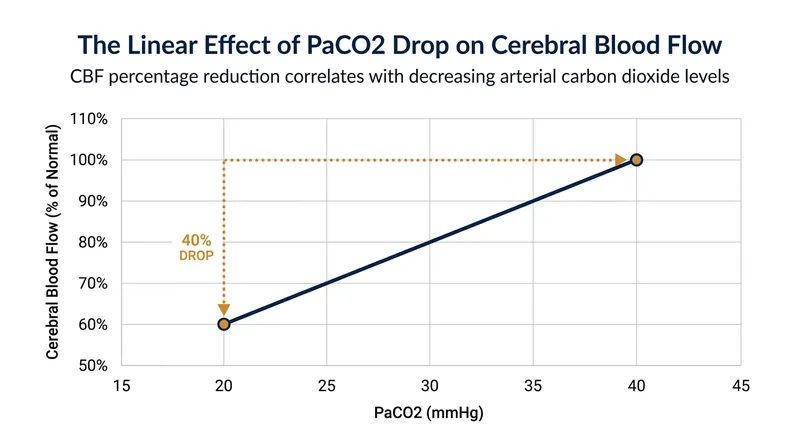 Cerebral blood flow decreases by 3 to 4 percent for every 1 mmHg drop in arterial carbon dioxide.