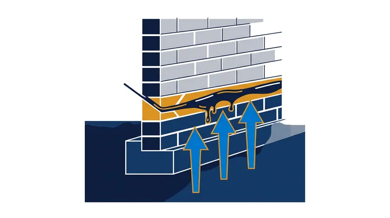A chemical damp-proof course severs the capillary pathways, allowing the wall above to finally dry out.