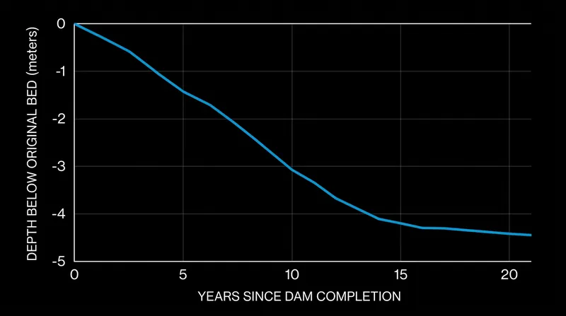 Incision rates can reach several meters per decade immediately following a dam's completion as hungry water scours the bed.