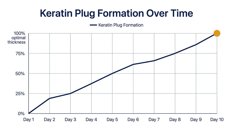 It takes approximately 10 days of consistent nightly application to build a fully effective keratin plug.