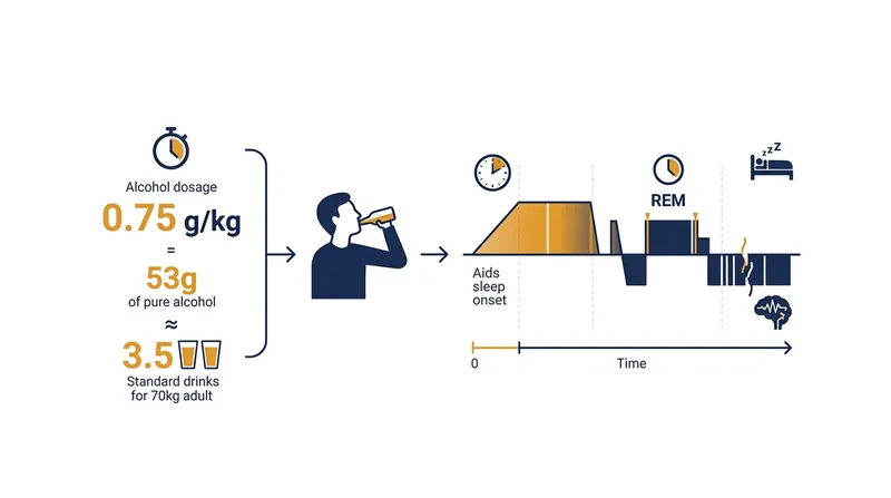 A moderate dose of alcohol forces the brain into an artificial sedation that mimics deep sleep.