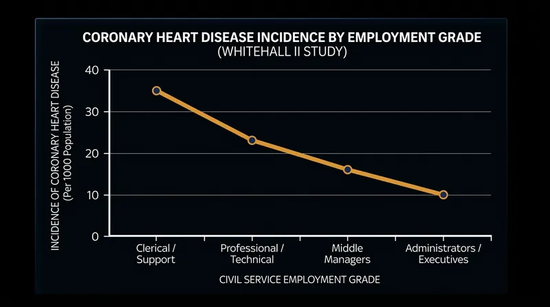 The Whitehall II study demonstrated that executives, who possess high decision latitude, suffer the lowest rates of heart disease.