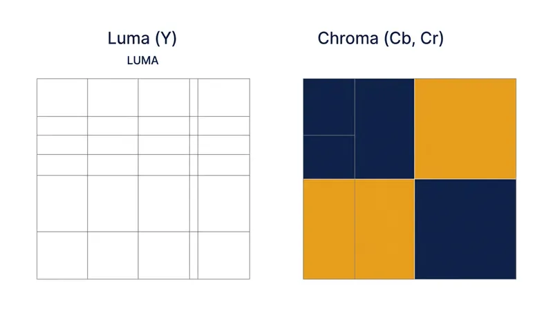 Under 4:2:0 compression, the brightness channel remains at full resolution while the color channel is reduced to one-quarter resolution.
