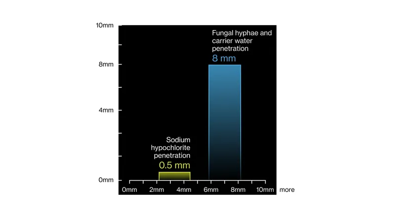 The penetration gap: active chlorine is consumed at the surface, leaving the deep root network untouched.
