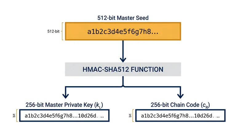 The HMAC-SHA512 hashing algorithm splits the master seed into a private key and a chain code.