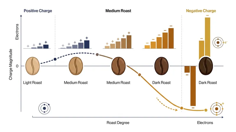 Darker roasts generate significantly more static charge during grinding than lighter roasts.