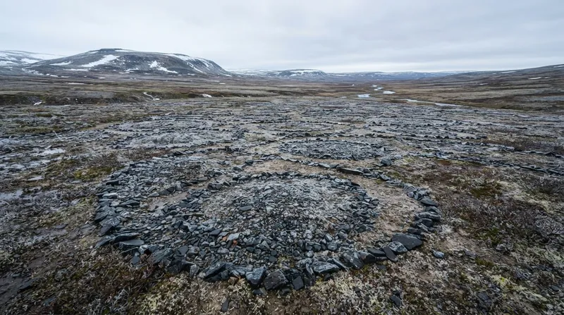 Illustration: Repeated differential heaving sorts surface materials by size, creating geometric stone circles in permafrost regions.
