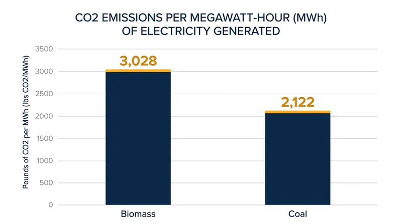 When adjusted for thermal efficiency, burning wood releases significantly more carbon per unit of electricity than coal.