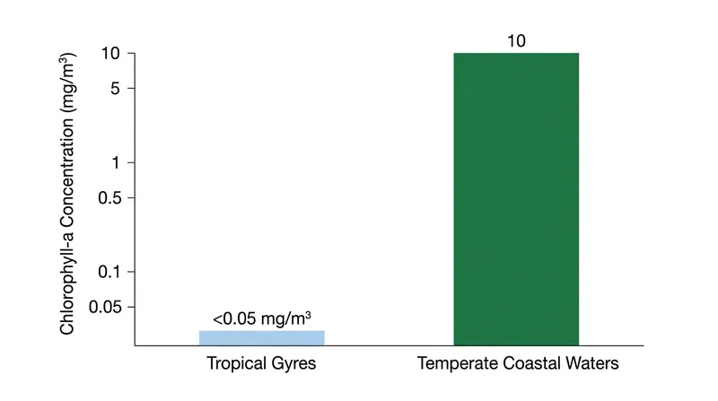 Tropical surface waters contain a fraction of the chlorophyll found in temperate coastal zones.