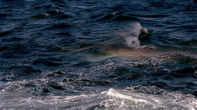 The waters surrounding Antarctica are managed collectively, as the international community rejects attempts to claim Exclusive Economic Zones off the frozen continent.