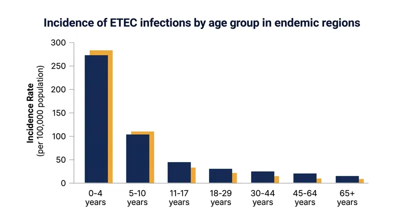 In endemic regions, ETEC infection rates peak in early childhood and drop sharply as the immune system builds a comprehensive antibody library.