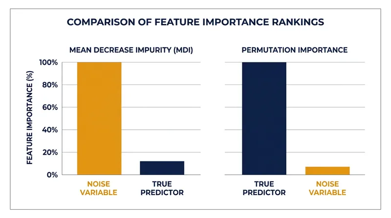 Permutation importance corrects the structural bias that causes default metrics to favor random noise.