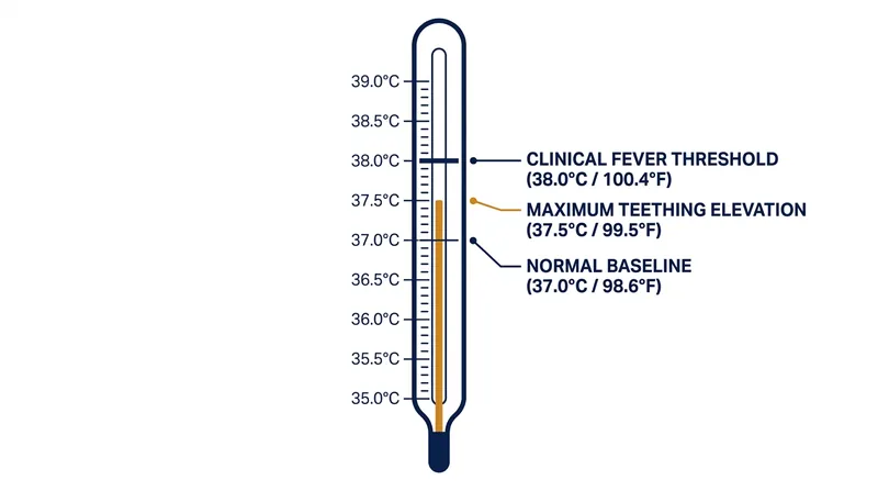 The physiological limits of a teething temperature compared to a clinical fever.