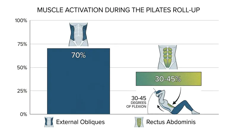 Proper spinal articulation requires significant activation from the external obliques and rectus abdominis.