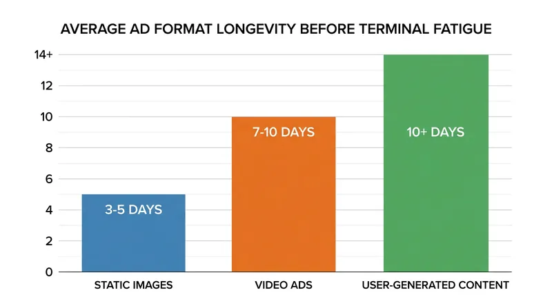 Video and user-generated content formats resist algorithmic decay longer than static images.