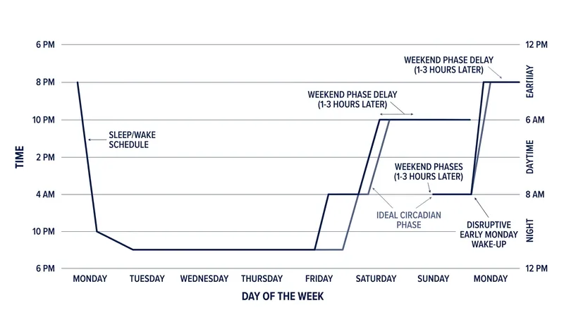 Weekend sleep extension pushes the biological clock later, creating a severe misalignment on Monday morning.