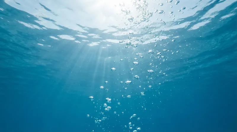 Illustration: Safety experts now recommend a strict 'one breath, one time' rule before any underwater submersion.