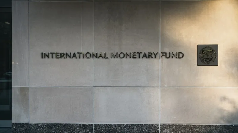UN officials are urging advanced economies to support a new allocation of IMF Special Drawing Rights to provide immediate liquidity.