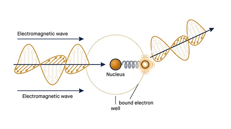 Incoming light forces bound electrons to oscillate, turning them into microscopic antennas that emit secondary waves.