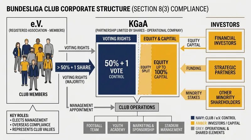 How Section 8(3) separates financial equity from voting control.