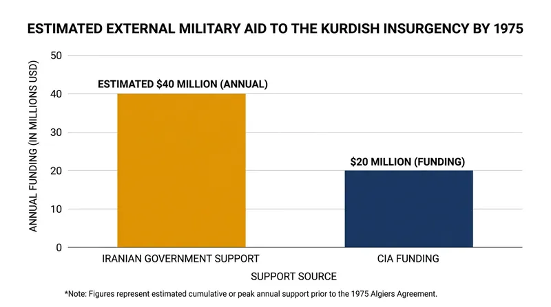 The Kurdish rebellion relied heavily on external state sponsorship to sustain its military operations.