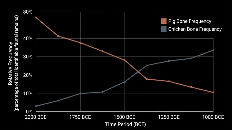 As pig populations collapsed in highland settlements, the domestic chicken rapidly filled the ecological void.