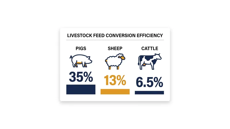 Pigs convert feed to meat highly efficiently, but require low-cellulose diets that put them in direct competition with humans.