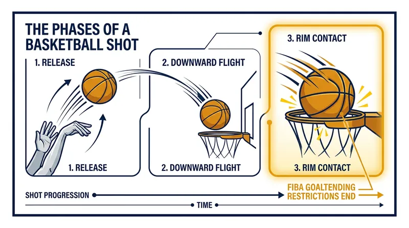 FIBA Article 31.2.3 explicitly ends goaltending restrictions the millisecond the ball touches the ring.