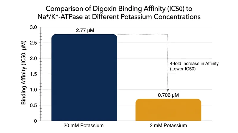 In vitro kinetic studies demonstrate that lowering extracellular potassium dramatically increases the enzyme's affinity for digoxin.