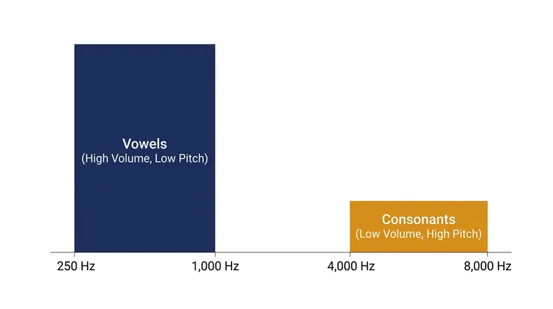 Vowels carry the raw acoustic power of a voice, while high-frequency consonants provide the structural boundaries between words.