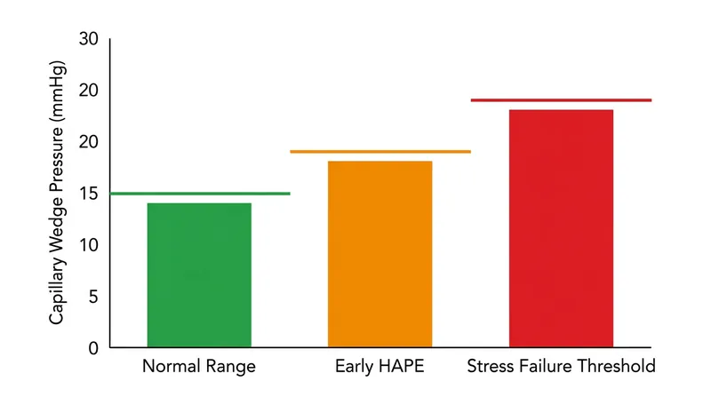 When localized capillary pressure exceeds 24 mmHg, the tensile limits of the blood-gas barrier are physically breached.