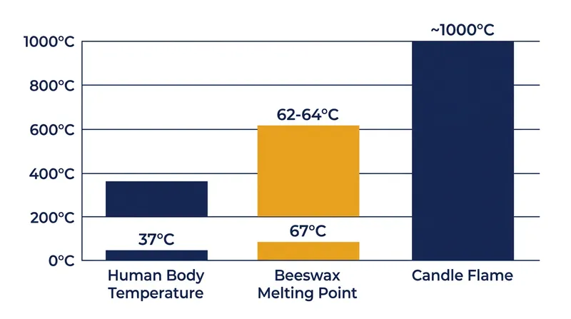 Beeswax requires temperatures far above human body heat to melt, meaning the candle's heat would cause severe tissue burns before significantly altering cerumen viscosity.
