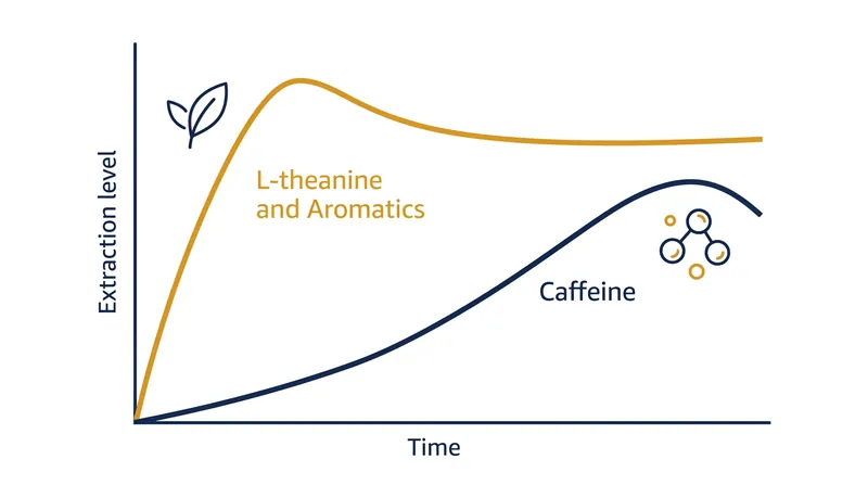 A quick rinse disproportionately strips away the amino acids that provide sweetness and buffer caffeine's physiological impact.