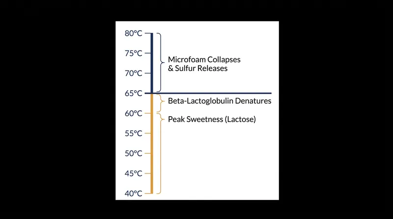 The 65°C threshold separates glossy microfoam from a scalded, sulfurous liquid.