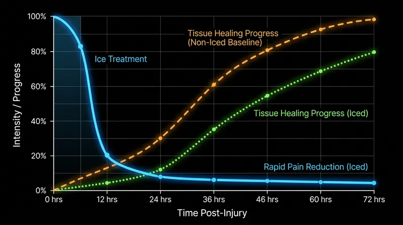 While ice provides immediate localized pain relief, it actively desynchronizes the long-term cellular healing timeline.