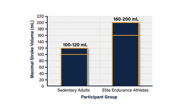 Endurance training raises the aerobic ceiling primarily by increasing the volume of blood ejected per heartbeat.