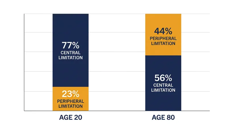 As athletes age, peripheral muscle extraction becomes a much larger constraint on aerobic capacity.