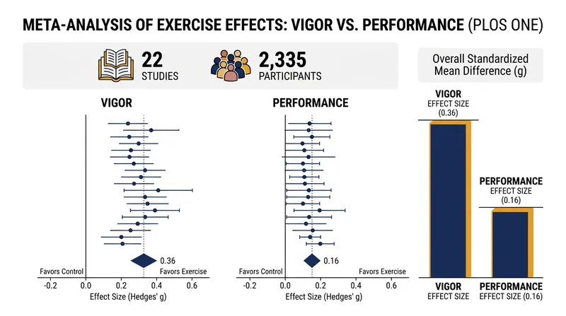 Data from 22 independent study samples highlights the divergence between feeling energized and actually performing better.
