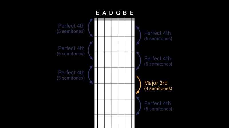 The standard tuning relies on a single irregular major third interval between the G and B strings.