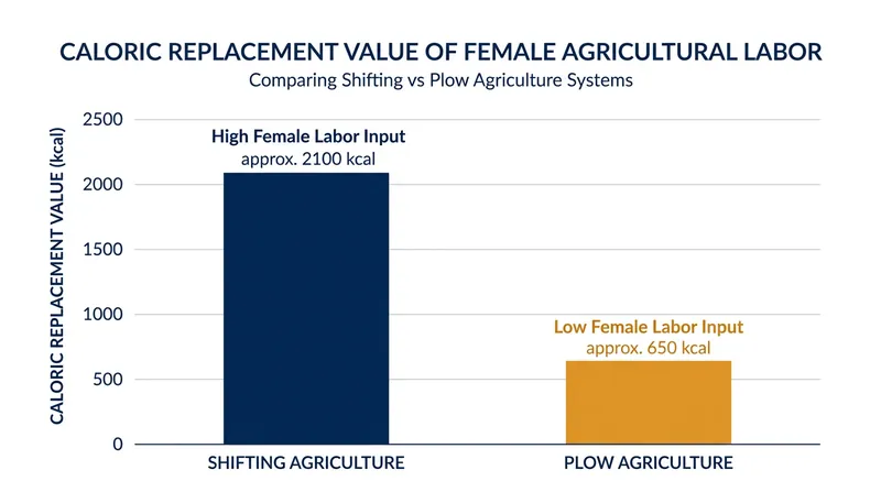 The biomechanics of animal traction drastically reduced the female share of agricultural labor.