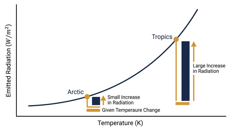 Because the Arctic is colder, it must warm substantially more than the tropics to radiate the same amount of excess heat back to space.
