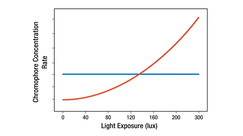 At approximately 120 lux of daily exposure, the rate of photobleaching outpaces the generation of new yellow chromophores.